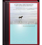 The Untethered Soul: The Journey Beyond Yourself