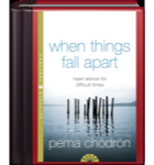 When Things Fall Apart: Heart Advice for Difficult Times